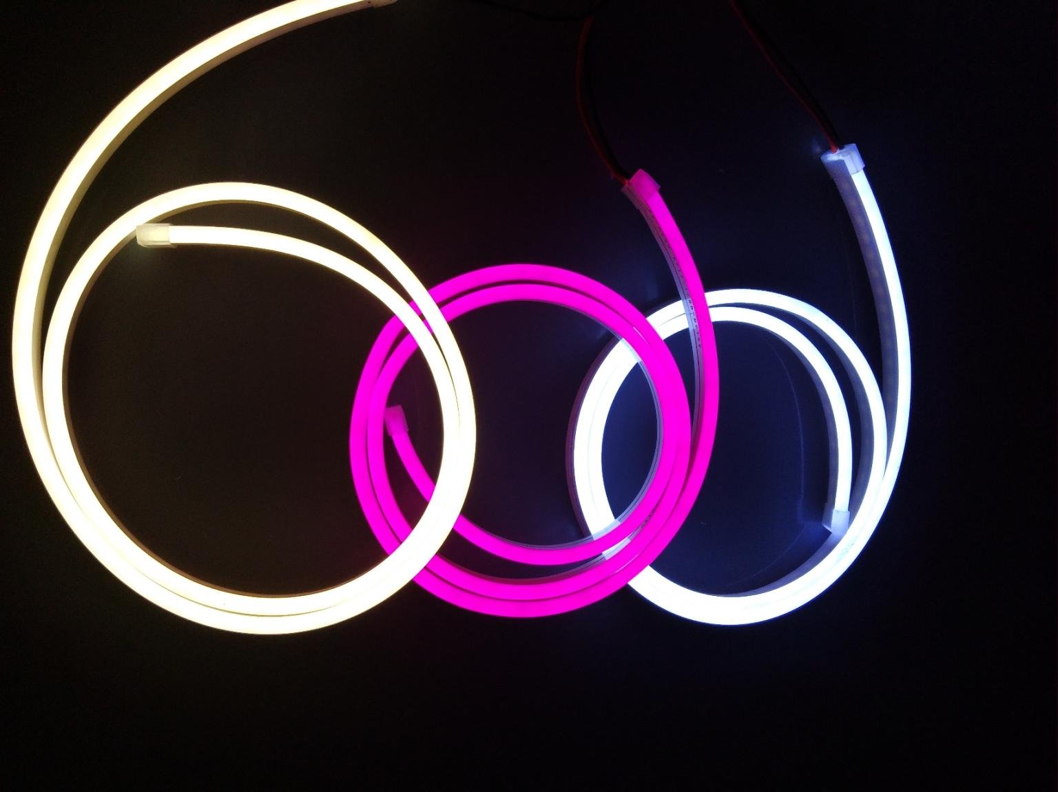 Neon Flex warm white close-up